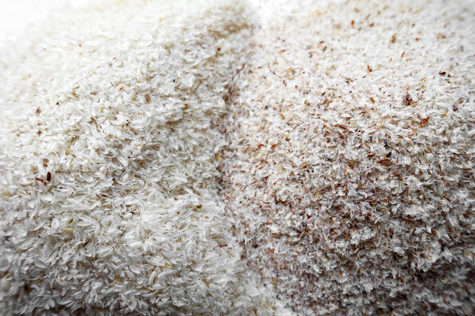 psyllium-017.jpg