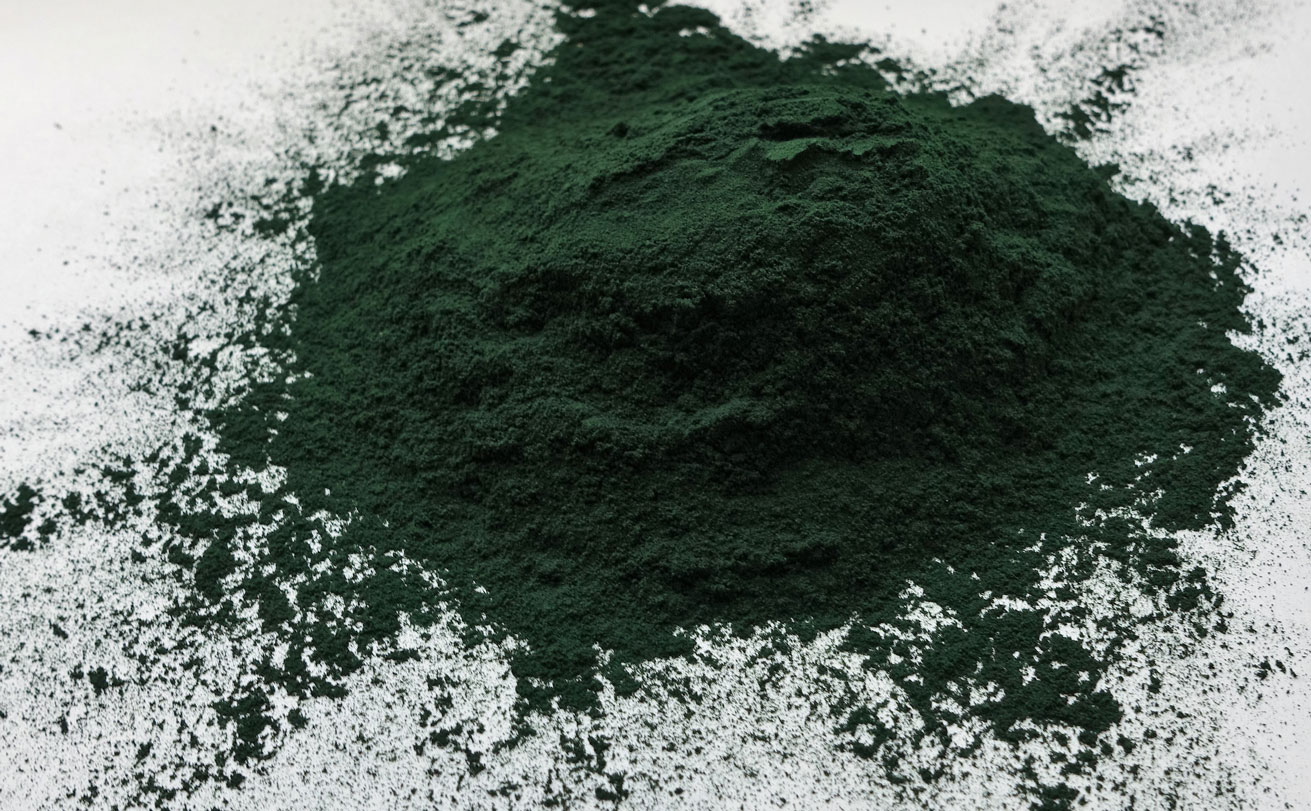 spirulina_platensis-003.jpg